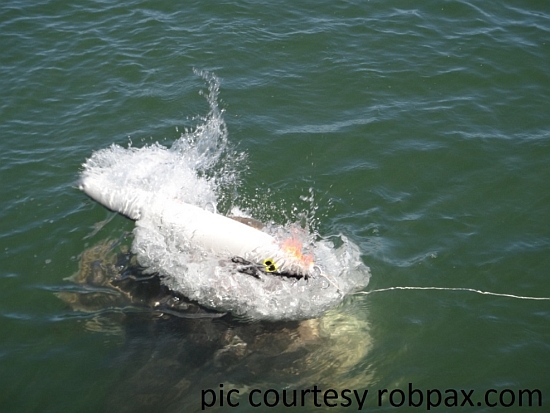 Giant groper 1, giant lure 0…